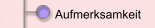 Aufmerksamkeit