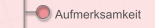 Aufmerksamkeit